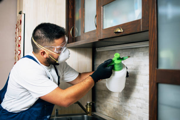 Best Local Pest Control Services  in Moody, TX