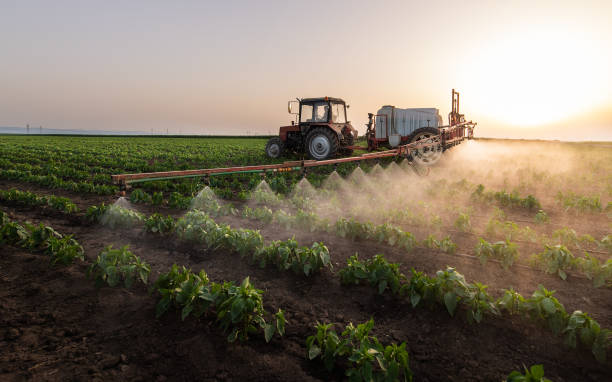 Best Pest Prevention Services  in Moody, TX