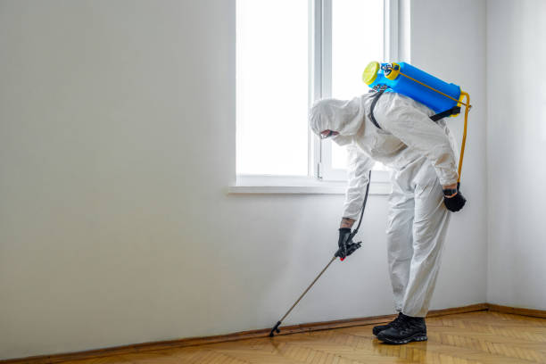 Best Flea Control Services  in Moody, TX