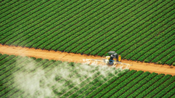 Best Termite Control Services  in Moody, TX