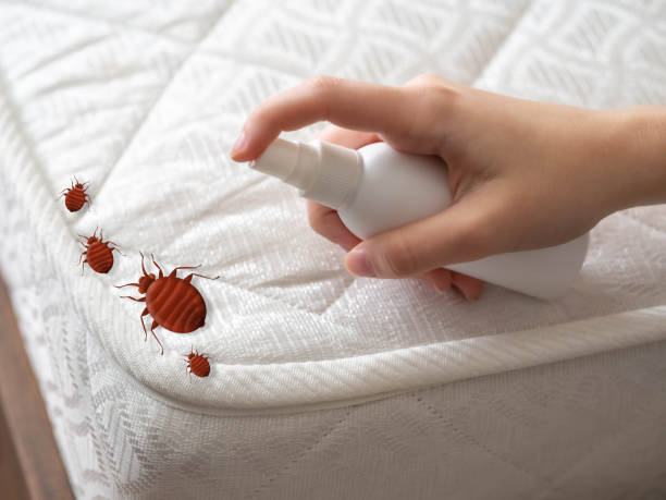 Best Cockroach Control Services  in Moody, TX