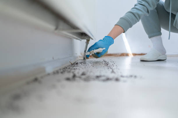 Best Affordable Pest Control Services  in Moody, TX